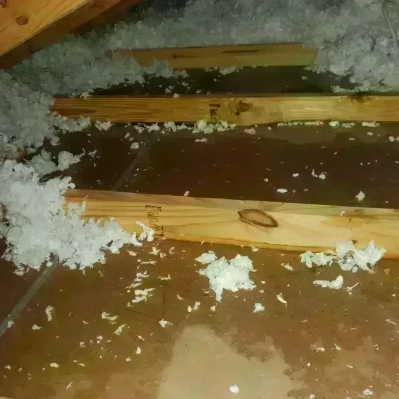 Attic Water Damage in Roosevelt Gardens, FL