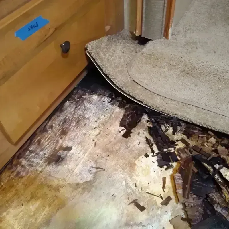 Wood Floor Water Damage in Roosevelt Gardens, FL